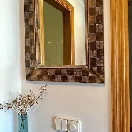 Apartment Ramon Y Cajal *
